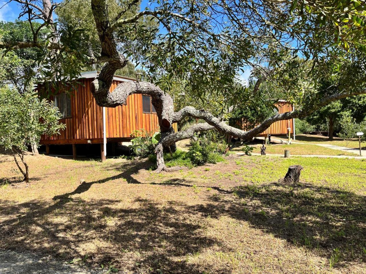Forest Gate Resort Plettenberg Bay Exterior photo
